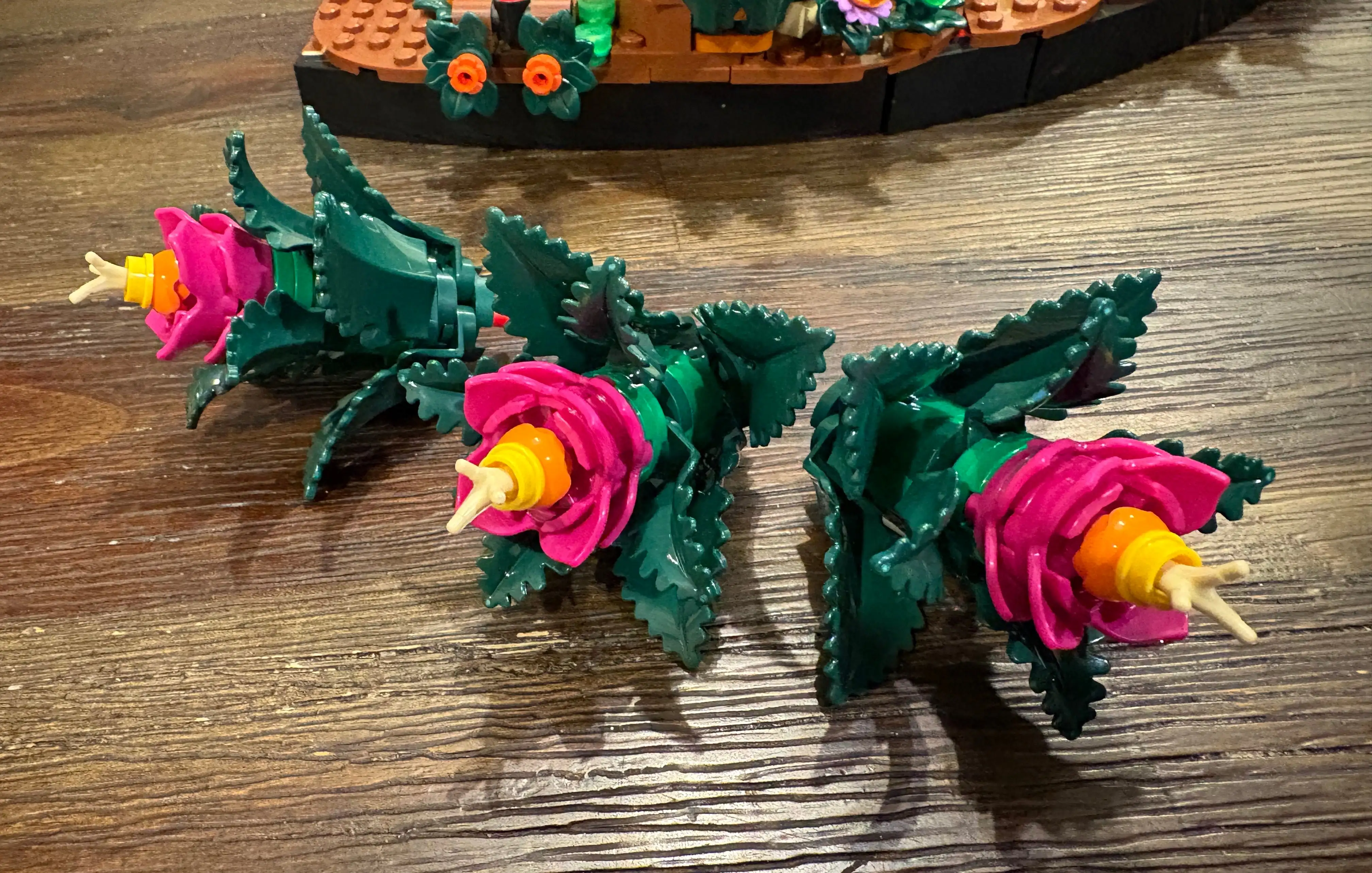 大学女足因,染发被判负,主办方作出,江南体育,江南体育app,江南体育官网,江南体育下载,江南体育入口